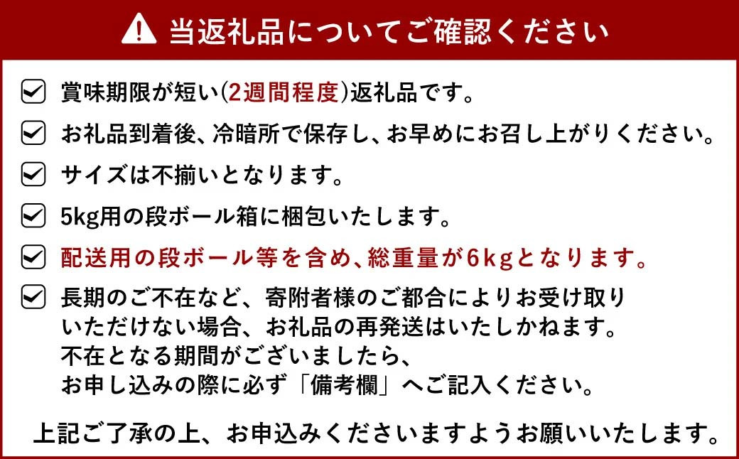 【先行予約】宇城市産 デコみかん 約6kg【2025年1月下旬から3月上旬発送】不知火 形不揃い 柑橘 フルーツ