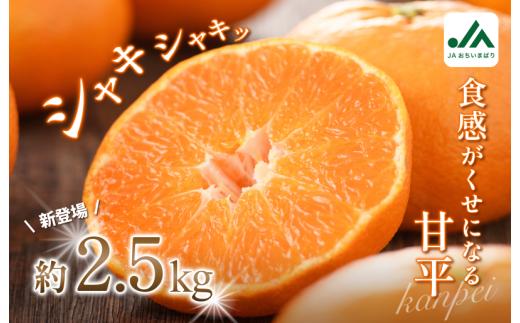 【先行予約】甘平（家庭用）レギュラー箱 約2.5kg 【KC00780K3】