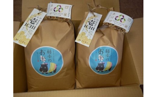 【数量限定！農家から直接お届け】令和8年産特別栽培米 いのちの壱(玄米)5kg×2