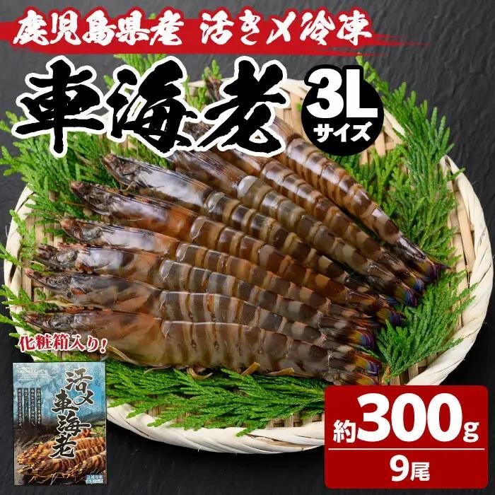 車海老 3L 9尾 冷凍 【車海老】