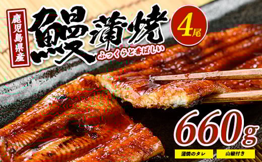 【鹿児島県産】 鰻の蒲焼(無頭背開き)約165g×4尾(山中水産/033-1066) うなぎ 国産 鹿児島 蒲焼 丑の日 丑 土用丑の日