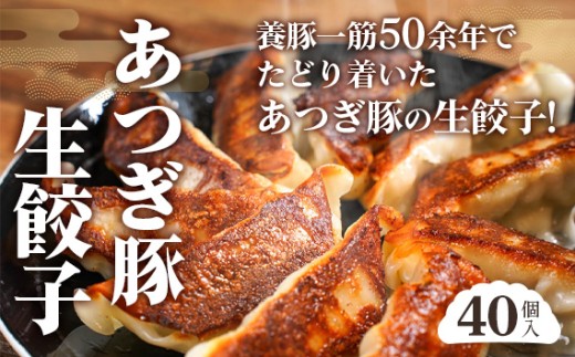 あつぎ豚 生餃子セット ／ ぎょうざ ギョーザ 中華 神奈川県 No.654