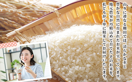 ＜令和7年産 西予市産 にじのきらめき 精米 約5kg＞ 選べる 内容量 お米 米 コメ こめ 白米 国産米 単一原料米 ご飯 雑穀 5キロ お弁当 おにぎり 特産品 愛媛県産 株式会社宇都宮米穀 愛
