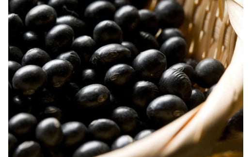 【令和7年産 丹波黒豆1Kg】黒豆 くろまめ 豆 丹波 滋賀県 竜王