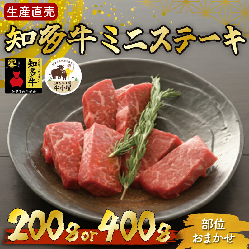 【ふるさと納税】 数量限定 国産 牛肉 ミニ ステーキ 200g 400g 知多牛 響 冷凍 ( ふるさと納税 ステーキ ふるさと納税 牛 ステーキ ふるさと納税 牛肉 ステーキ ふるさと納税 赤身 ステーキ ふるさと納税 知多牛 生産直売 ） 愛知県 南知多町 人気 おすすめ