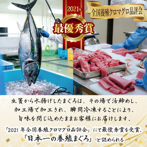 本マグロ ブツ切り 300g 【マグロマグロマグロマグロマグロマグロマグロマグロマグロマグロマグロマグロマグロマグロマグロマグロマグロマグロマグロマグロマグロマグロマグロマグロマグロマグロマグロマグロ
