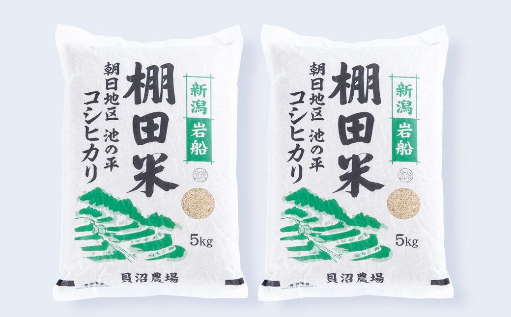 【新米受付・令和7年産米】新潟県村上市岩船産 棚田米 コシヒカリ 玄米 10kg NAB4041