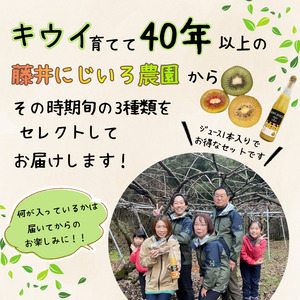 【先行予約】キウイ3種アソート 約1.4kg＆キウイジュース500mlセット 阿武町産【2026年11月～2027年2月発送】
