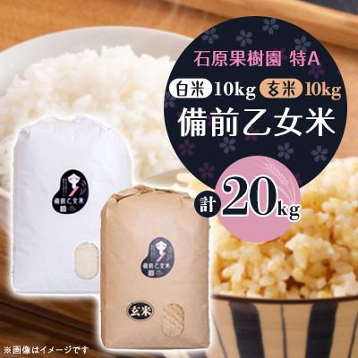 ふるさと納税 高梁市 【石原果樹園】令和8年産　備前乙女米　白米10kg×1袋・玄米10kg×1袋(BOHB10-2)