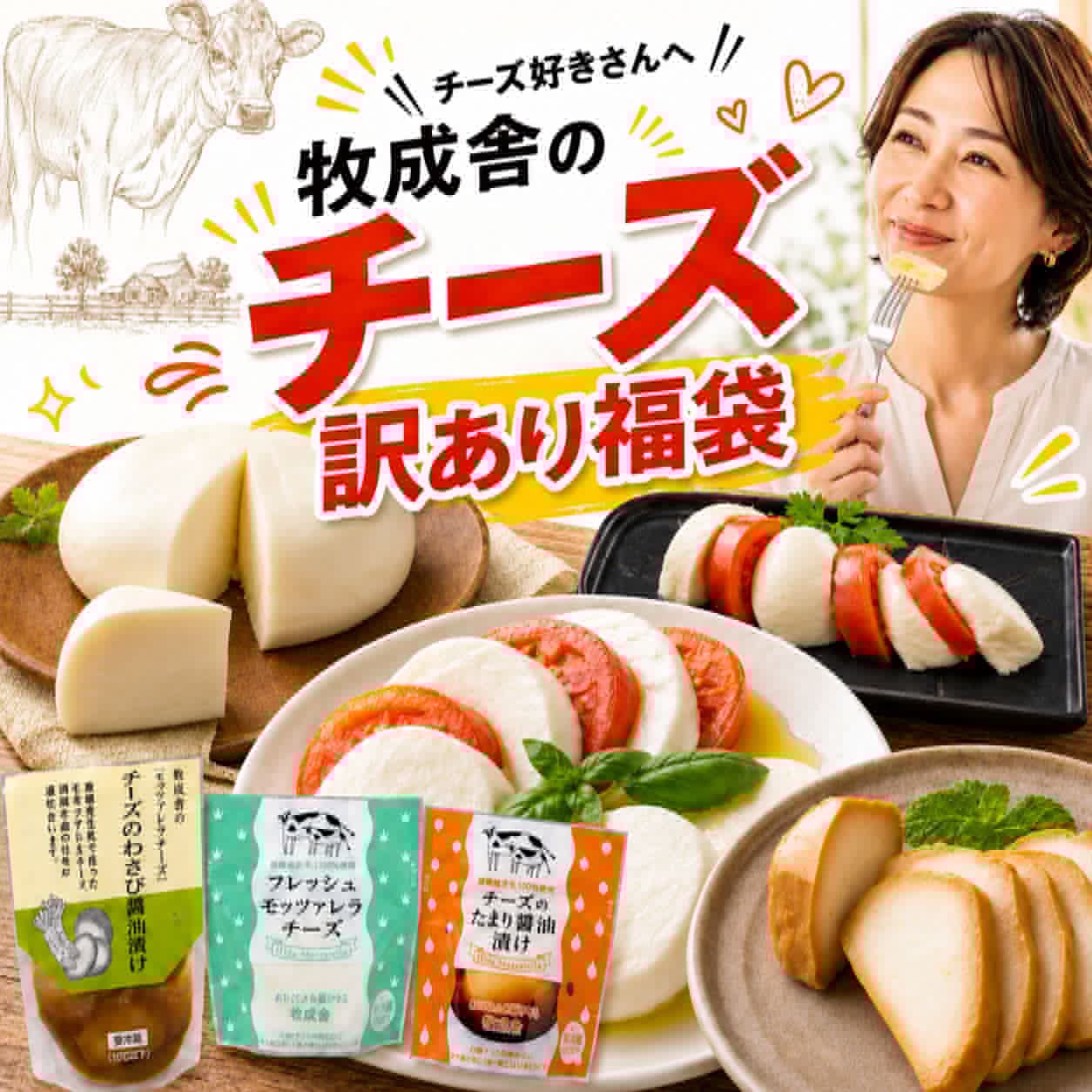 【ふるさと納税】＜牧成舎＞ 訳あり チーズ 福袋 詰め合わせ ｜ 短賞味期限 食品ロス 福袋 食品 国産 訳アリ 詰め合わせ 牧成舎 ワケアリ ギフト ナチュラルチーズ モッツァレラ おつまみ お酒 ワイン プレゼント 誕生日 食べ比べ [Q3241]