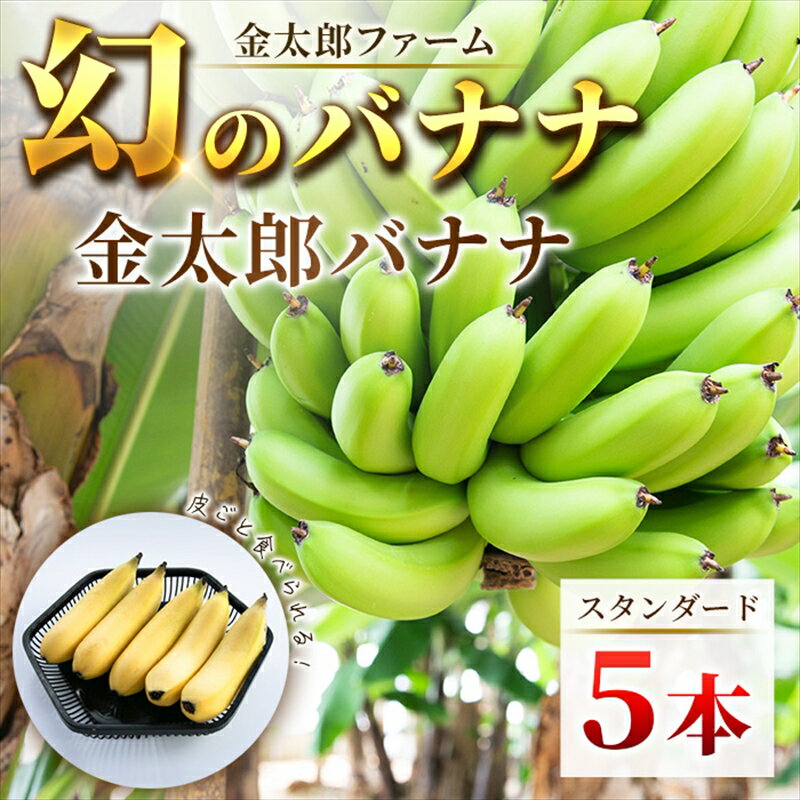 南足柄産国産バナナ スタンダード（栽培期間中農薬不使用）5本セット＜出荷開始：2023年11月～＞【ギフト プレゼント 贈り物 お返し おいしい 金太郎バナナ 果物 くだもの フルーツ お歳暮 お中元 神奈川県 南足柄市 】