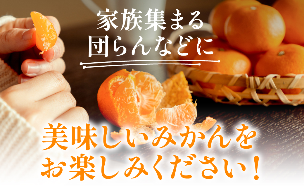【先行予約】 八代市 東陽産 EC12みかん 2kg以上入り(8玉～20玉)  柑橘 ミカン くだもの 果物 フルーツ デザート 【2025年11月下旬より順次発送】
