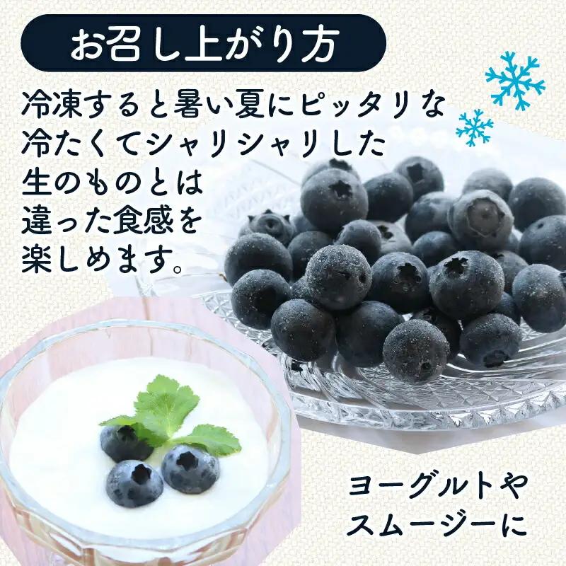 【先行予約】訳あり完熟生ブルーベリー ラビットアイ系 1800g (2027年発送) | フルーツ 果物 ベリー