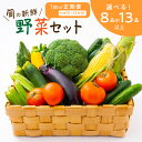 【ふるさと納税】定期便 旬の新鮮野菜セット 8種以上 13種以上 1回 6回 12回 ふるさと納税 野菜 ふるさと納税 定期便 野菜 詰め合わせセット 旬の野菜 セット 定期 送料無料