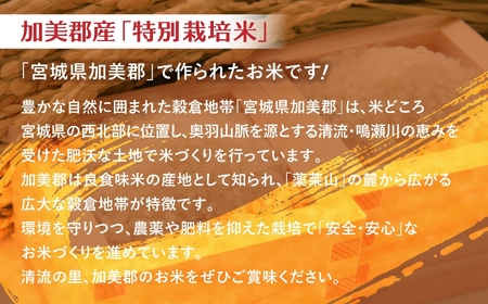 【 定期便 3回 】米 無洗米 金芽米 令和6年 宮城県 加美産 ひとめぼれ 特別栽培米 計 30kg ( 10kg × 3回 )   [ 宮城県 加美町 ]  お米 こめ コメ 精米 白米 玄米 き