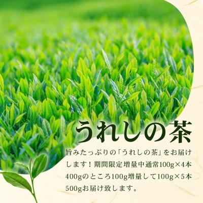 ふるさと納税 鹿島市 佐賀県産 うれしの茶(やぶきた茶)100g×5本【合計500g】美味しいお茶をご家庭用に |  | 01