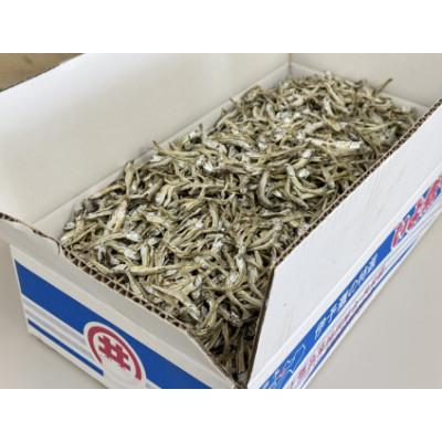 ふるさと納税 伊予市 伊予煮干 いりこ 7kg 【2026年10月以降発送】 伊予灘産 瀬戸内海 |  | 02