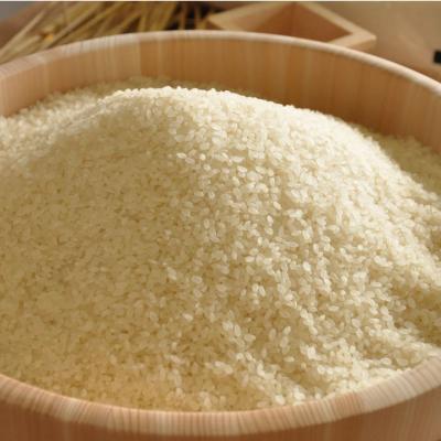 ふるさと納税 三条市 新潟県産 新之助 10kg (5kg×2袋) 令和7年産 【020S024】 |  | 02