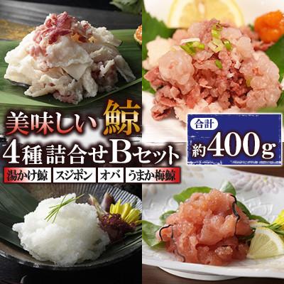 ふるさと納税 川棚町 美味しい鯨4種詰め合わせBセット(湯かけ鯨、スジポン、オバ、うまか梅鯨)(川棚町)