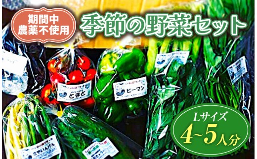 【栽培期間中農薬不使用・無化学肥料・無家畜性肥料で育てた】 季節の 野菜セット ( Lサイズ )【2026年7月下旬～発送】| 旬 野菜 10種類前後 4～5人分 セット シードマイスター 農薬不使用 無化学肥料 無家畜性肥料 信州 八ヶ岳 長野県 諏訪郡 原村