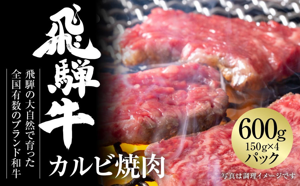 
                  飛騨牛 カルビ焼肉 600g 150g×4パック 濃厚な旨み 脂身のコク 小分け 冷凍 真空パック ｜ 飛騨牛 焼肉 牛肉 焼肉 牛肉 焼肉用 焼肉セット 焼肉用 牛肉 飛騨牛 カルビ 牛肉 カルビ 和牛 カルビ 飛騨牛 ギフト 牛肉 ギフト 飛騨牛 小分け 飛騨牛 冷凍 真空パック 和牛 ギフト 和牛 黒毛和牛 国産牛 飛騨牛 牛肉 世界遺産 白川郷 [MZ005]
                