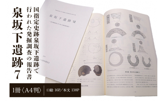 泉坂下遺跡7 1冊 弥生時代 考古学 遺跡 発掘 調査報告書 歴史 資料 報告書 発掘調査 茨城県 【常陸大宮市教育委員会事務局文化スポーツ課】 【ho1313】