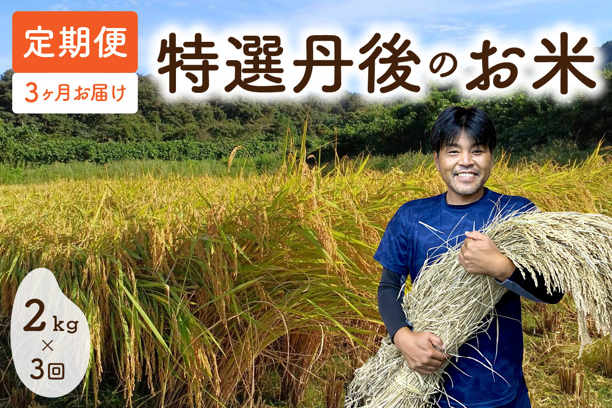 女将一押し「特選丹後のお米」 定期便 2ｋｇ×3か月 毎月お届け　OD00068