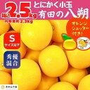 【ふるさと納税】八朔 (はっさく) とにかく 小玉 箱込 2.5kg(内容量約 2.3kg) 秀品 優品 混合 Sサイズ以下 和歌山県産 産地直送【おまけ付き】【みかんの会】 | みかん 八朔 和歌山 大玉 秀 優 産地直送 和歌山県 有田川町 ふるさと納税 返礼品 故郷納税