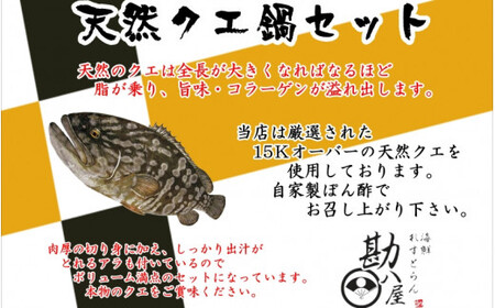 天然クエ鍋セット 500g(2～3人前） / 和歌山 田辺 高級 くえ鍋 クエ鍋 本クエ ポン酢 ぽんず 田辺市 和歌山県 冷凍 生 海の幸 【kpy014】