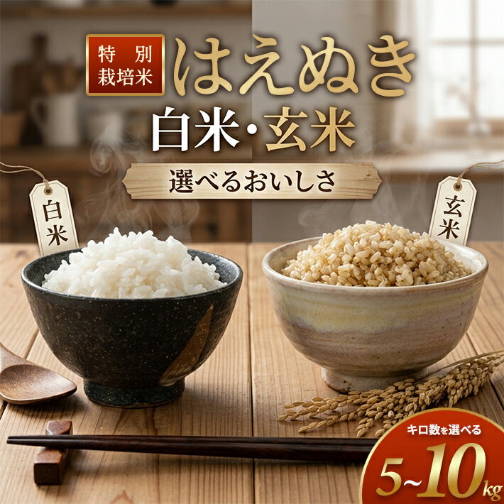 【ふるさと納税】特別栽培米 はえぬき 選べる 5kg 10kg 白米 玄米 令和7年産 山形県産 東北 山形県 遊佐町 庄内地方 米 お米 庄内米 ブランド米 精米 ご飯 ごはん 産地直送 農家直送