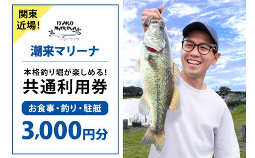 潮来マリーナ 施設内共通利用券 3,000円分 (1,000円×3枚) へらブナ釣り ブラックバス釣り ニジマス釣り 渚食堂 バスボート駐艇場利用可能 釣り堀体験 レジャー チケット 茨城県 潮来市 (A49-003)