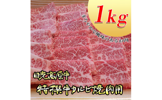 
日光高原牛特撰牛カルビ焼肉用1kｇ入 肉 霜降り 焼肉 国産牛 グルメ 栃木県 送料無料
※着日指定不可
