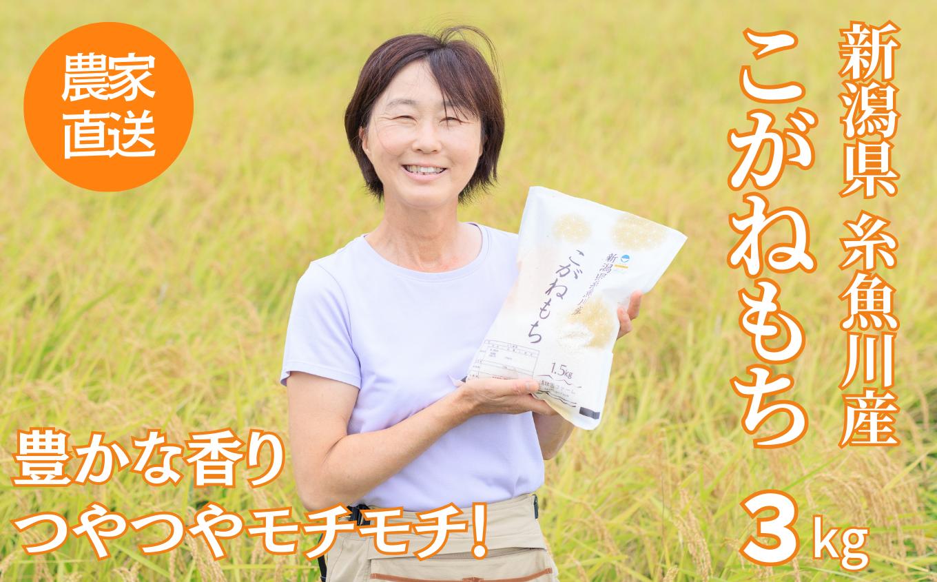 
令和6年産新米 新潟県産 もち米『こがねもち』3kg（2升）令和6年産 つやつやモチモチ もち米ならではの芳醇な香り 清耕園ファーム 【餅 赤飯 おこわ ご飯 ライス ふるさと納税 米 ブランド米 黄金餅 2024】
