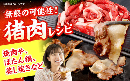 猪肉 スライス 1kg 雲仙いのしし / 肉 イノシシ ジビエ いのしし 焼肉 ぼたん鍋 切り落とし / 南島原市 / 株式会社髙田牧場[SDB011]