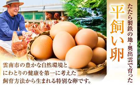 【6回定期便】彩り天佑卵 10個入り[AIDL008] 卵