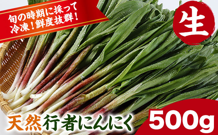 
            先行予約 天然生行者にんにく500g 《4月下旬頃から順次発送(土日祝除く)》北海道 浦幌町 山菜 希少種 者ニンニク 幻の山菜 山菜 山の幸 野菜 疲労回復 健康 st-p
          