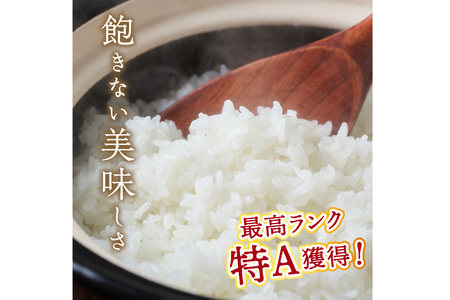 【3ヶ月定期便】直売所直送「令和6年産　京丹後市産　コシヒカリ」　精米5kg