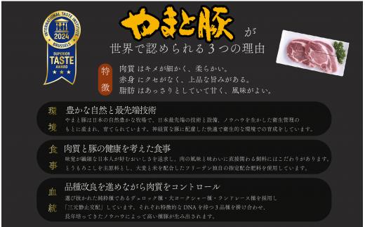 岩手県産 やまと豚５種2.6kg 国産 肉 豚肉 やまと豚 鍋 焼肉 豚ロース 豚バラ 豚こま モモスライス ひき肉 とんかつ 生姜焼き しゃぶしゃぶ 真空パック