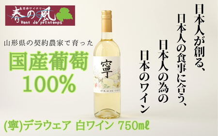 春日井ワイナリ－春の風 (寧)デラウェア 白ワイン 750ml　ワイン　白　ギフト　贈り物　度数11.3%　デラウウェア　香り　糖度　フルーツ　香り　国産　ぶどう　葡萄　ライトな味わい　甘口