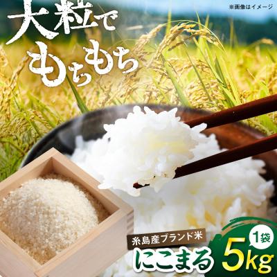 ふるさと納税 糸島市 【スピード発送】令和7年産 にこまる 玄米品質1等米 白米 5kg 糸島市産[AGR001]