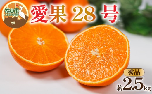 【秀品】 愛果28号 (紅まどんな と同品種) 約2.5kg 【2026年12月中旬頃から順次発送】  | あいか 愛果28号 紅まどんな と同品種 みかん 柑橘 アイカ 先行予約 ミカン かんきつ 果物 フルーツ おすすめ 蜜柑 送料無料 愛媛県 松山市