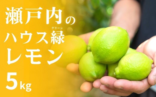 瀬戸内の ハウスグリーン レモン 約5kg【2026年8月以降発送】 皮まで丸ごと食べられる ワックス不使用 防腐剤不使用 安心 広島 大崎上島 せとうち 檸檬 柑橘 ギフト 贈答 ビタミンC クエン酸 岩﨑農園