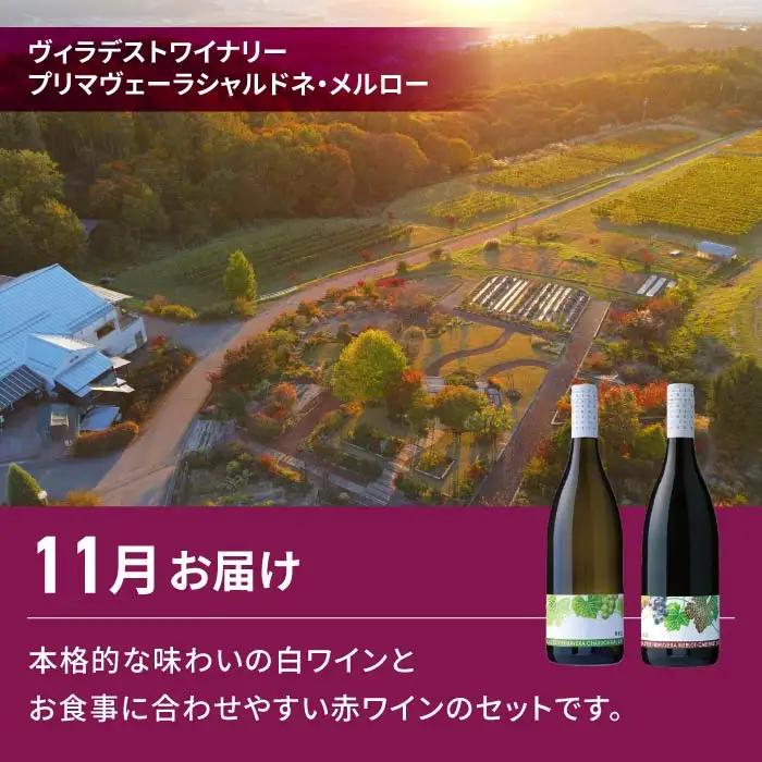 【2回定期便】シャインマスカット＆とうみワインの定期便（シャインマスカット 2房／プリマベーラ シャルドネ、メルロー・カベルネ）｜【JA信州うえだ／ヴィラデストワイナリー】ぶどう 葡萄 大粒 果物 フ