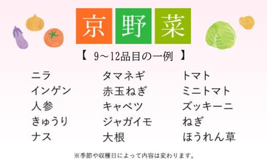【6ヵ月定期便】 ＜鮮度抜群「京野菜」9～12品目詰合せ＞ ふるさと納税 定期便 京野菜 野菜 旬 新鮮 鮮度 自然栽培 自然農法 おいしい おばんざい 食べきり 詰合せ お取り寄せ 京都府 福知山市