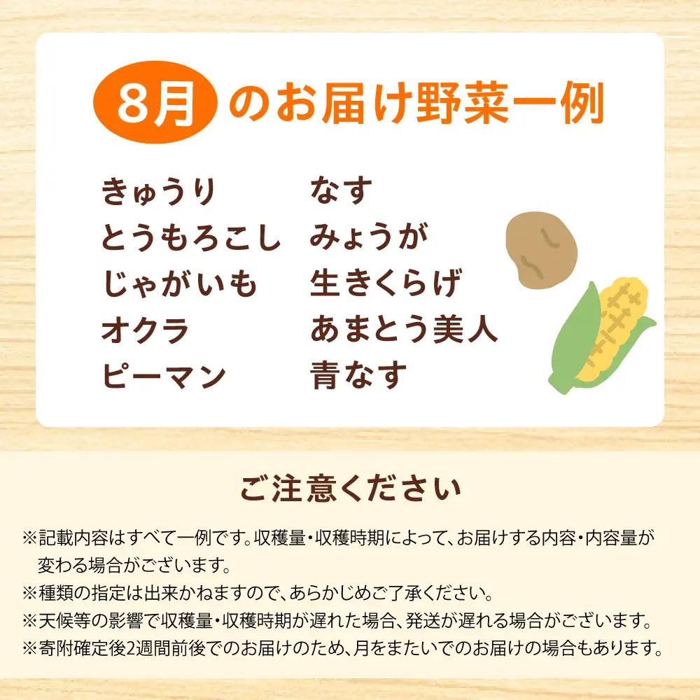 高槻野菜おまかせ詰め合わせセット 8月（10種〜15種）[AOCS014] 野菜セット