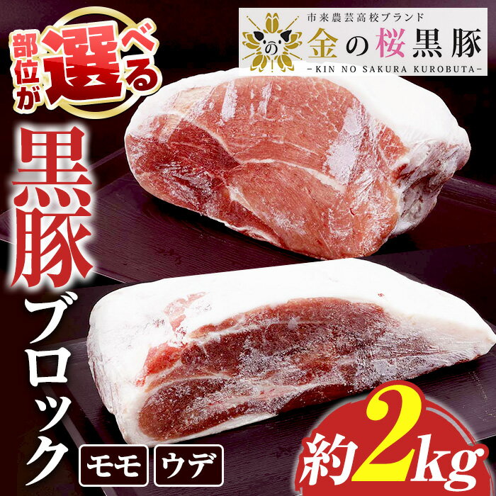 【ふるさと納税】＜部位が選べる！＞金の桜黒豚ブロック(モモ/ウデ・約2kg) 国産 鹿児島県産 黒豚 豚肉 ブロック ブロック肉 モモ ウデ モモ肉 ウデ肉 お肉 BBQ キャンプ 焼肉 野菜炒め 冷しゃぶ 肉じゃが 生姜焼き【エーエフ企画】