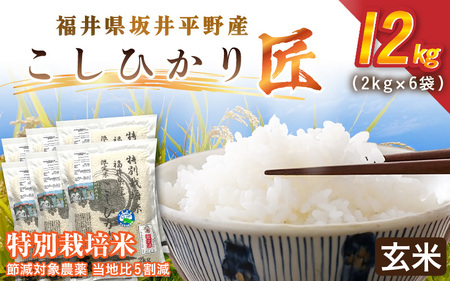 令和7年産 特別栽培米 コシヒカリ匠 12kg（2kg×6袋） 節減対象農薬当地比5割減【玄米】お米 コシヒカリ [E-2920_02]