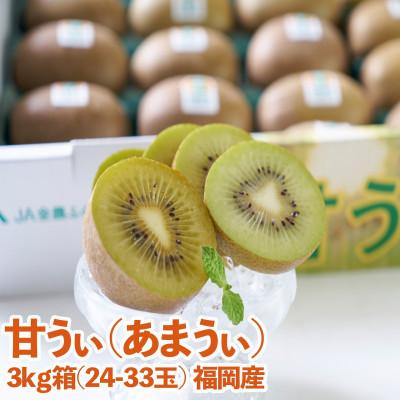 ふるさと納税 大木町 福岡産ブランド キウイ 甘うぃ 約3kg(24-33玉)(大木町)CO015