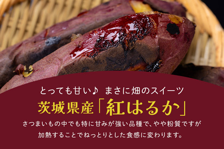 さつまいも専門店 ひじり のスイートポテト（べにはるか） 8個セット IW-011