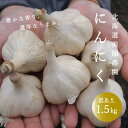 【ふるさと納税】訳あり にんにく 1.5kg 直送 産地直送 北海道 緊急支援 ニンニク 当麻町 美頭農園 お取り寄せ 送料無料 数量限定